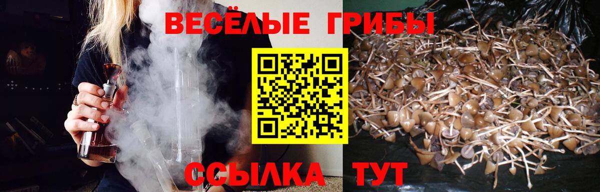 Рузаевка  Галлюциногенные грибы GOLDEN TEACHER  Псилоцибиновые грибы прущие грибы  Вход с VPN 